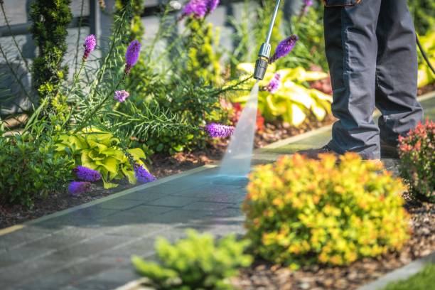 Best Gutter Cleaning  in Burnt Store Marina, FL