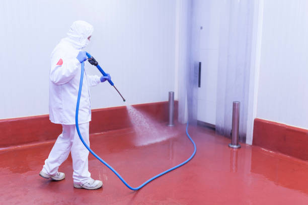 Best Boat and Dock Cleaning  in Burnt Store Marina, FL